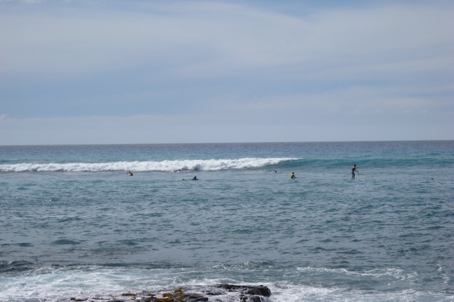 ../image/kona shoreline 4.jpg